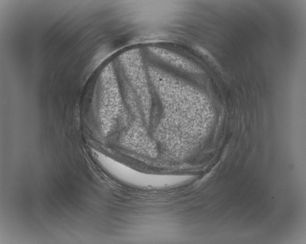 X0000062131457200512301449