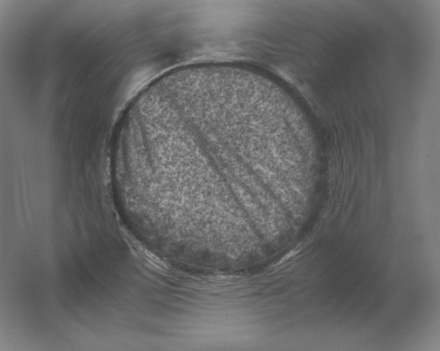 X0000062131459200512301449