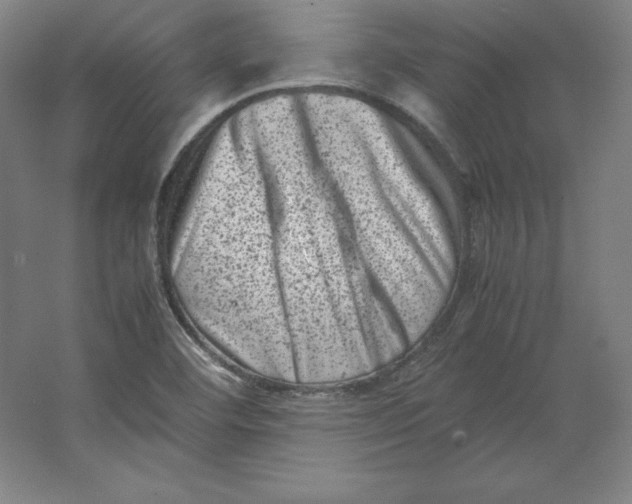 X0000062131460200512301449