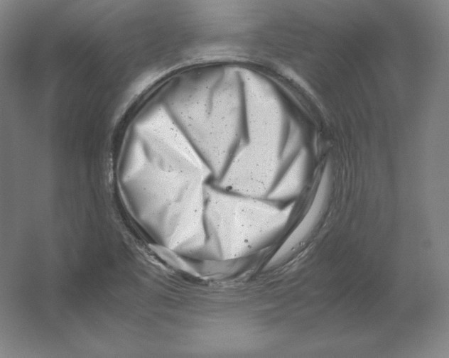 X0000062131461200512301449