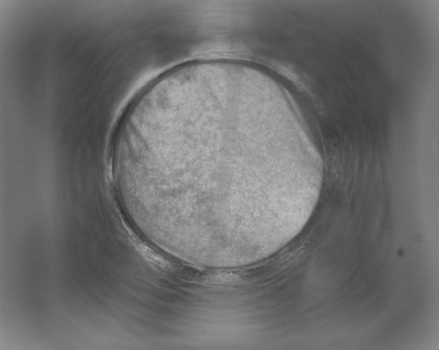 X0000062131462200512301449