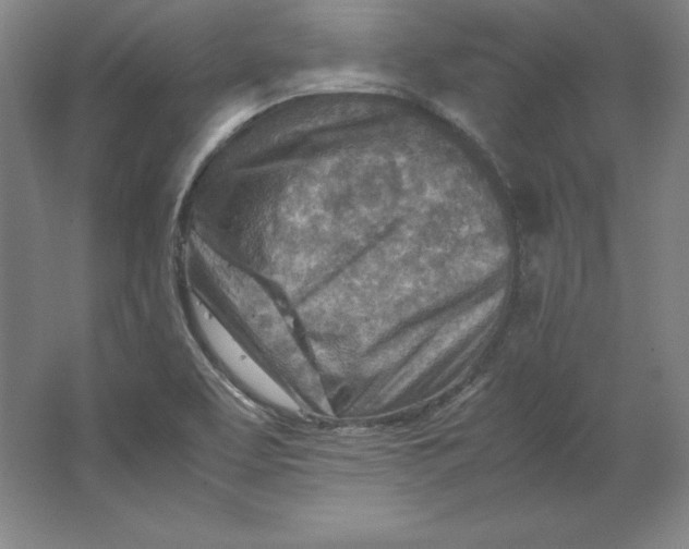 X0000062131463200512301449