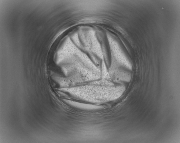 X0000062131465200512301449