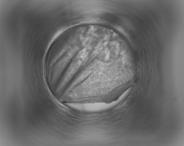 X0000062131467200512301449