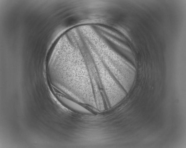 X0000062131468200512301449