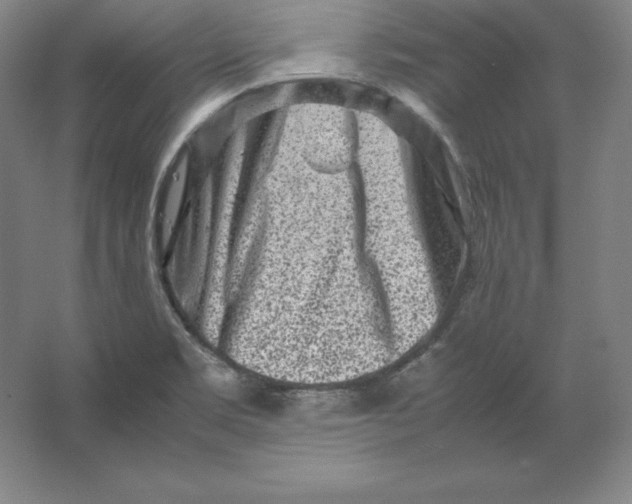 X0000062131469200512301449