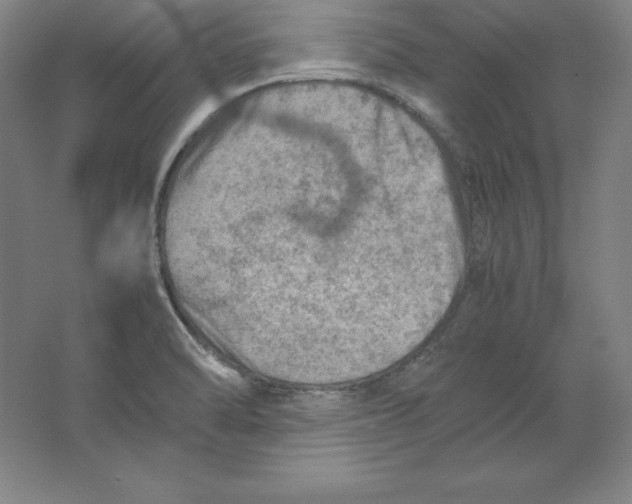 X0000062131470200512301449