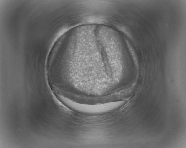 X0000062131471200512301448