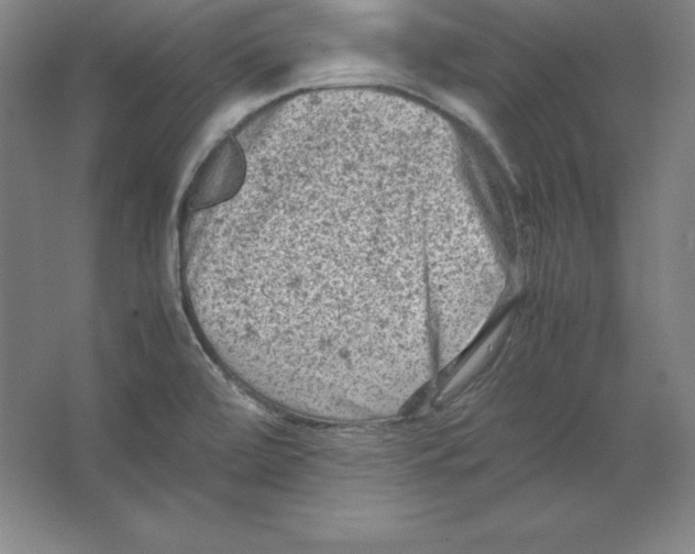 X0000062131472200512301448