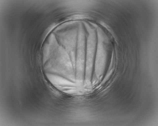 X0000062131473200512301448