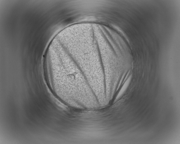 X0000062131475200512301448