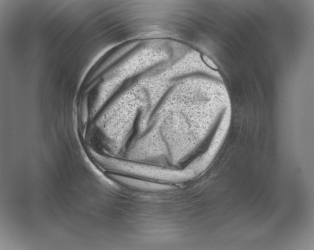 X0000062131476200512301448