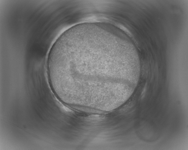 X0000062131478200512301448