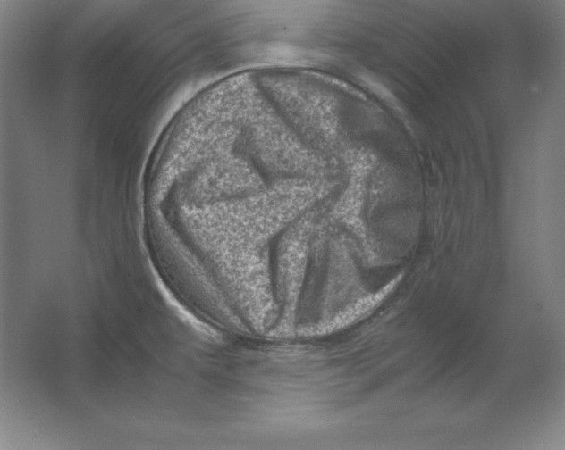 X0000062131479200512301448