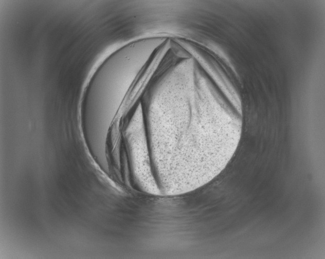 X0000062131480200512301448