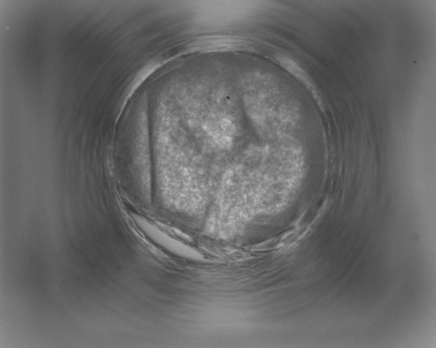 X0000062131481200512301448