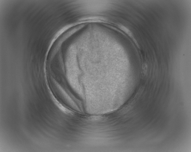 X0000062131482200512301448