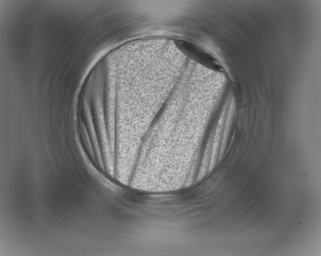 X0000062131483200512301448