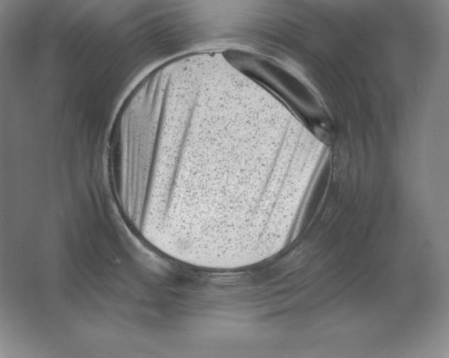 X0000062131484200512301448