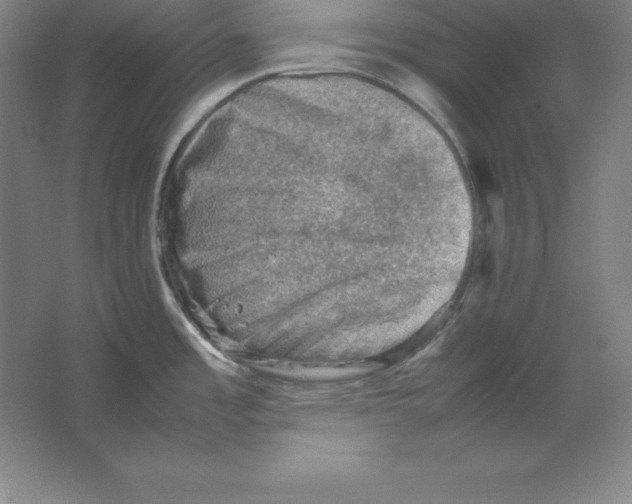 X0000062131485200512301448