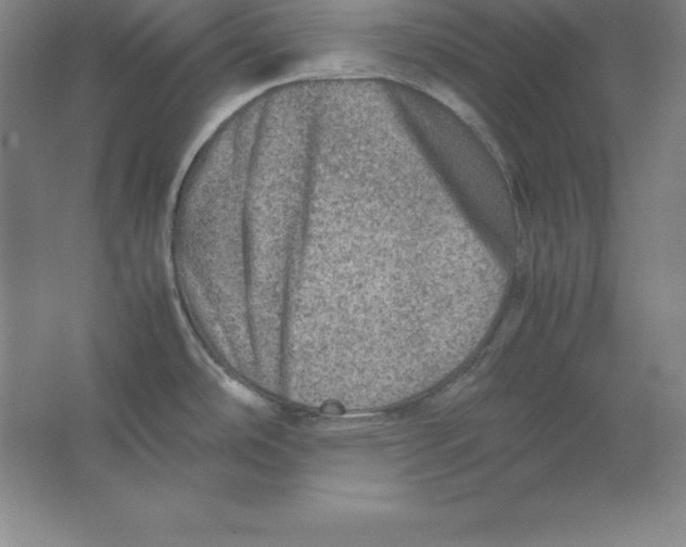 X0000062131486200512301448