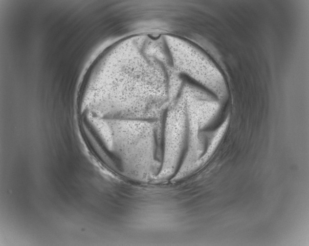 X0000062131488200512301448