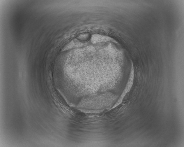 X0000062131489200512301447