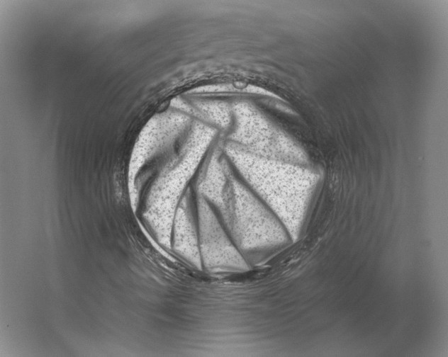 X0000062131490200512301447