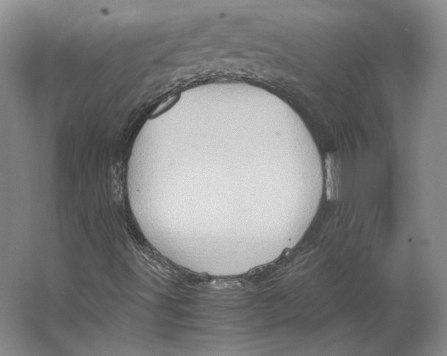 X0000062131491200512301447