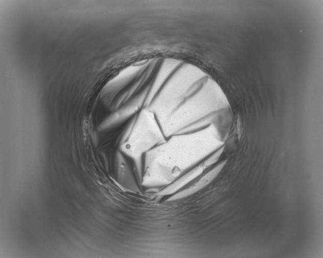 X0000062131492200512301447