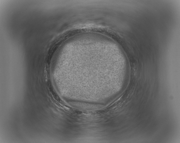 X0000062131493200512301447