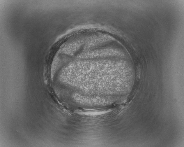 X0000062131494200512301447