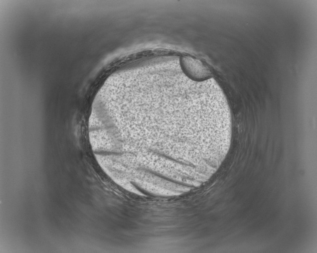 X0000062131495200512301448