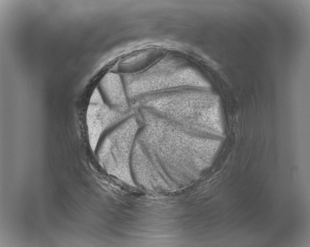 X0000062131496200512301448