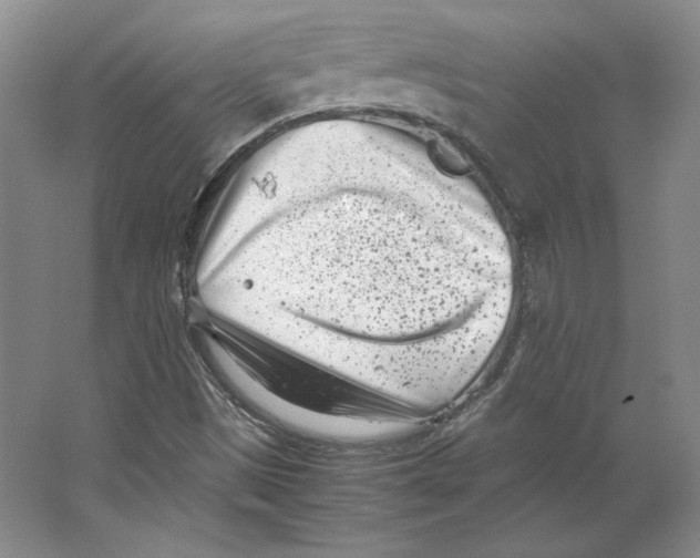 X0000062131497200512301448