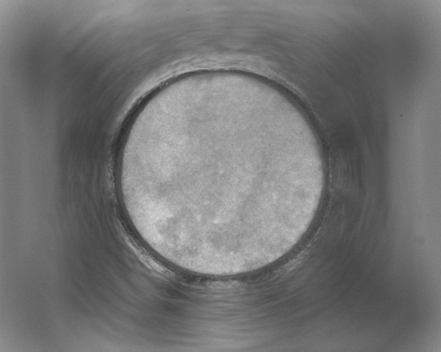 X0000062131498200512301448