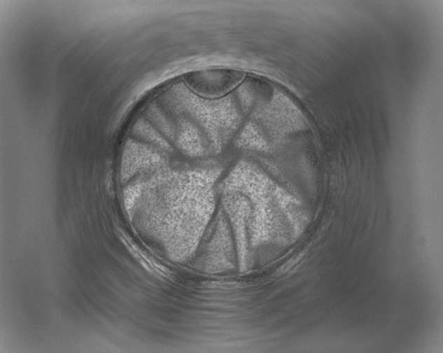 X0000062131499200512301448