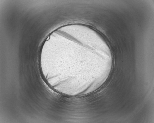 X0000062131500200512301448