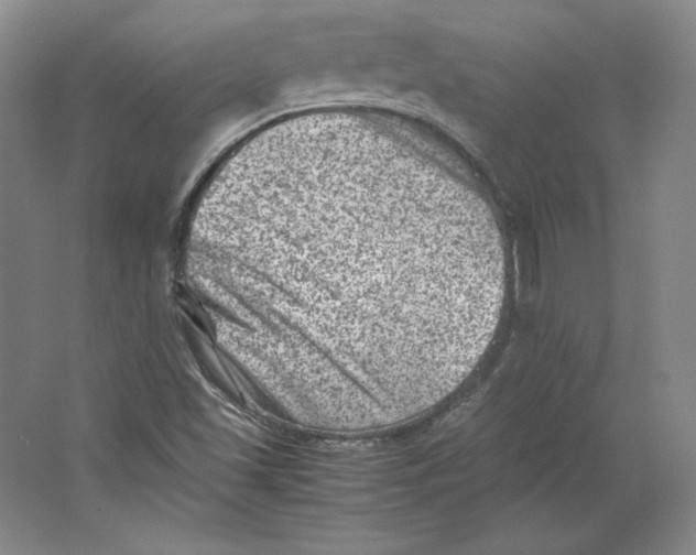 X0000062131501200512301448