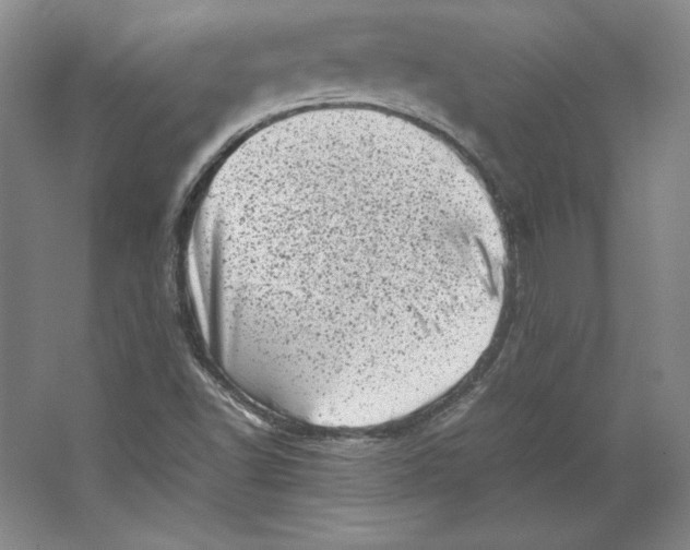 X0000062131502200512301448