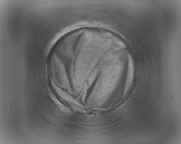 X0000062131503200512301448