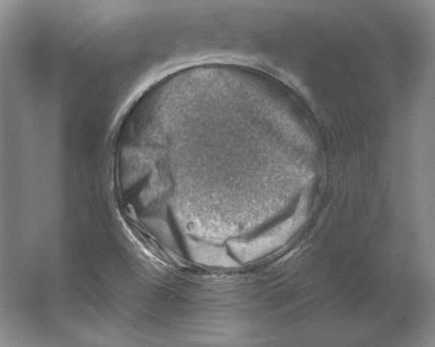 X0000062131504200512301448