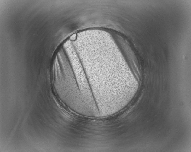 X0000062131505200512301448