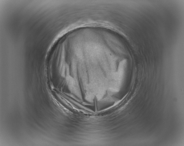 X0000062131506200512301448