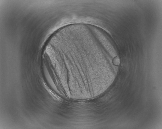 X0000062131507200512301448