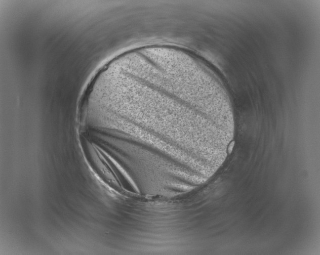 X0000062131508200512301448