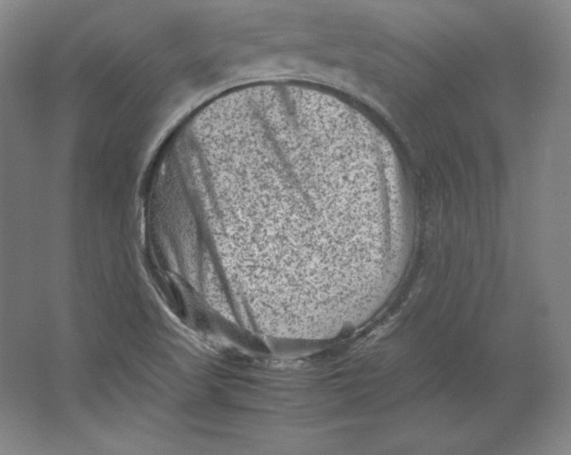 X0000062131509200512301448