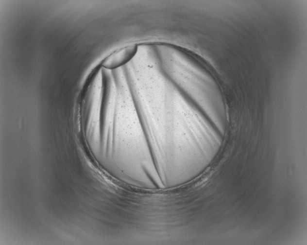 X0000062131510200512301448