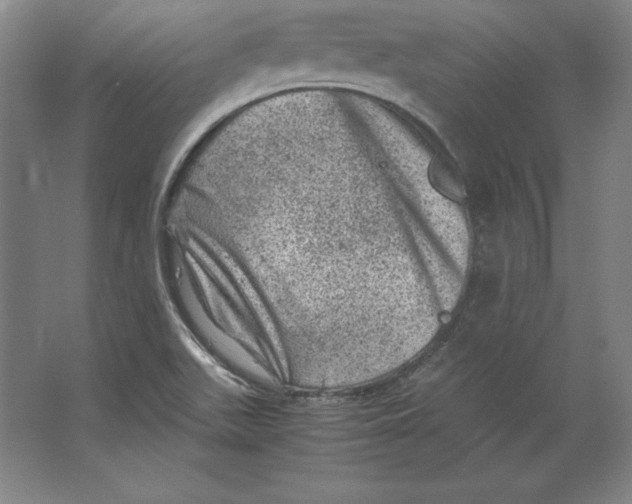 X0000062131511200512301448