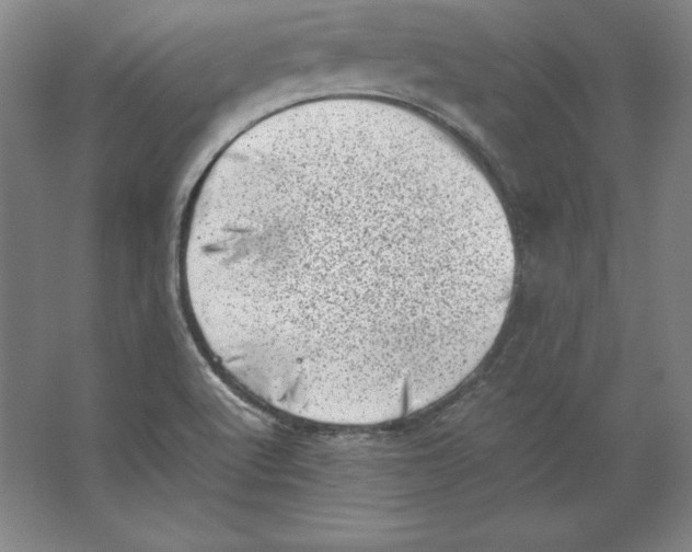 X0000062131512200512301448